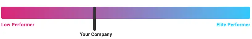 DevOps-Check: Your Identified Potential. A horizontal bar chart. With an indicator (your company) that is placed between high and low performer in the DevOps field.